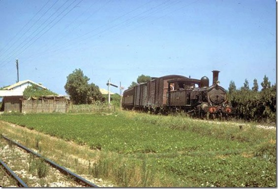 TrainCol (43)
