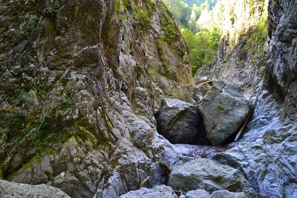 [DSC_78843.jpg]