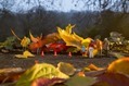 Opel-Adam-Toy-Photoshoot-3