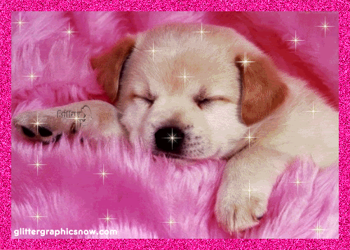 [perros%2520%252811%2529%255B2%255D.gif]