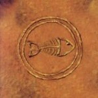 Fishbone 101: Nuttasaurusmeg Fossil Fuelin