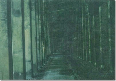 Inside of Concrete Snowshed on the Iron Goat Trail in 2000