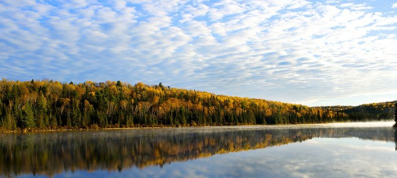 Algonquin- Park-5