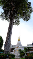 DSCF2050.JPG