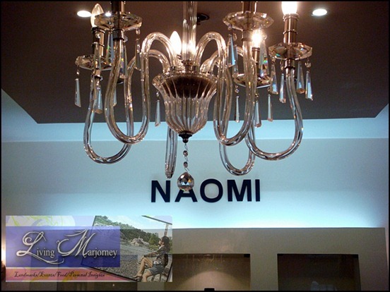 NAOMI, Wearable Art Pieces