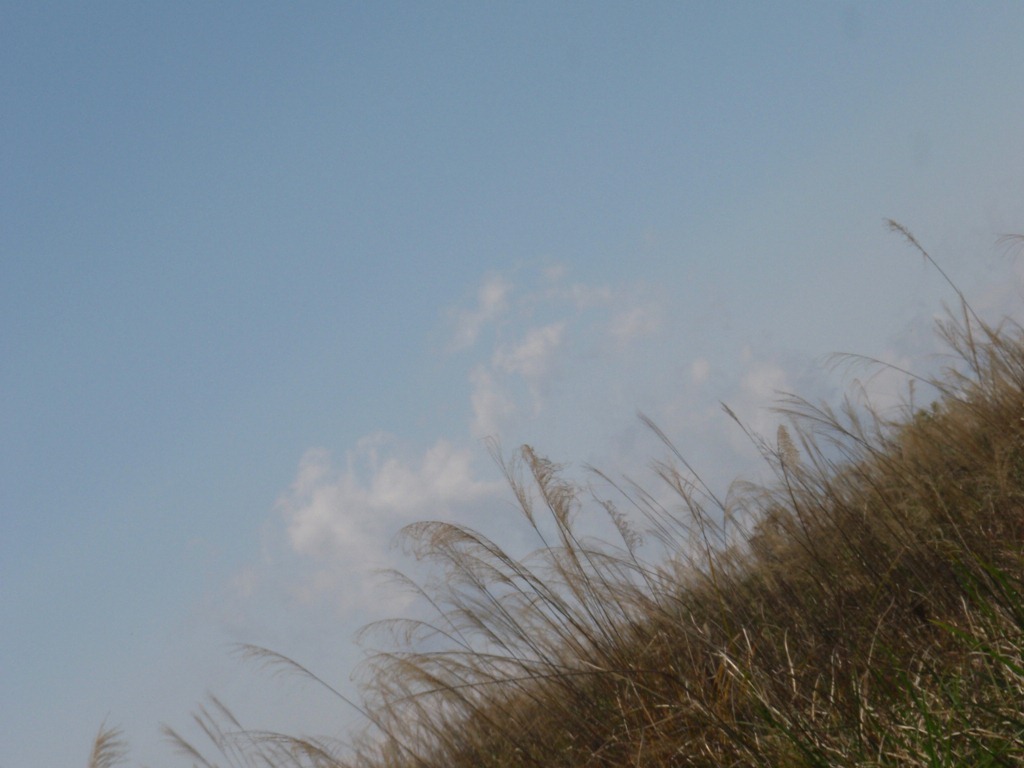 [%25C2%25BF%25C3%25AF%25C2%25A8o%2520-%2520017%255B4%255D.jpg]