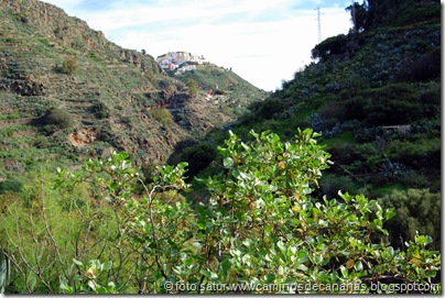 4438 La Atalaya-Barranco Garcia Ruíz 4438 La Atalaya-Barranco Garcia Ruíz