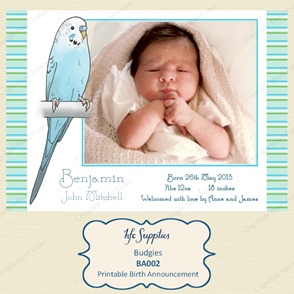 BA002 budgies photo printable birth announcement etsy 1