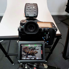 pentax_645_z_29.jpg