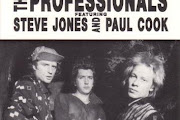 The Professionals