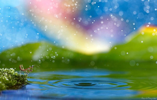 [clip_image028%255B3%255D.jpg]