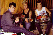Stray Cats