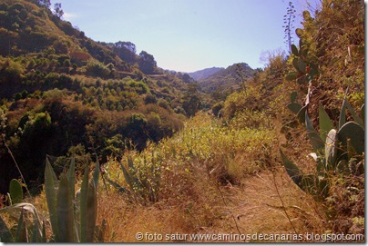 3134 Circular Barranco Propios 3134 Circular Barranco Propios
