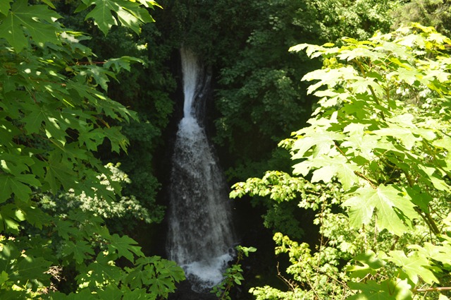 [Touring%2520the%2520Gorge%2520%2528waterfalls%2529%252C%2520Or%2520117%255B2%255D.jpg]