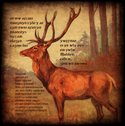 Red-Deer-Dwryne