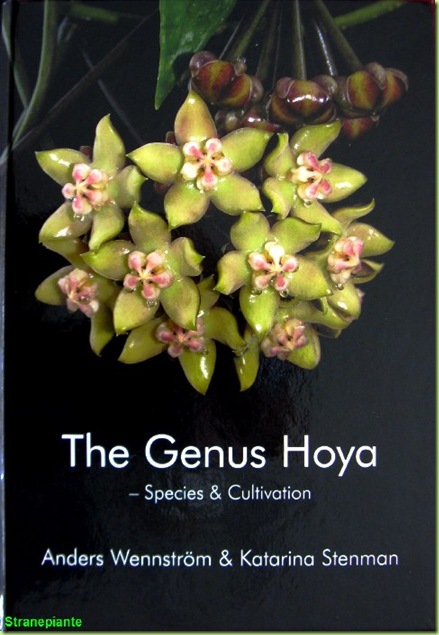 the genus hoya - species & cultivation- il genere hoya