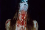 Taake