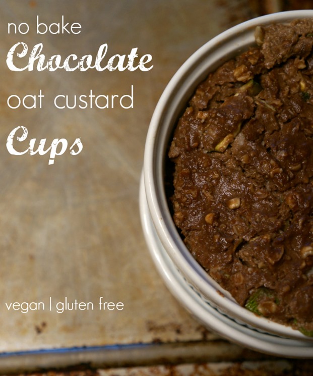 No Bake Chocolate Oat Custard Cups - a combination of vegan custard and vegan rice pudding - great healthy dairy free dessert