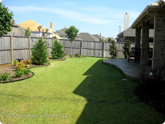 IMG_3086 IMG_3086