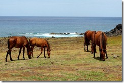 Easter Island 425 (640x427)