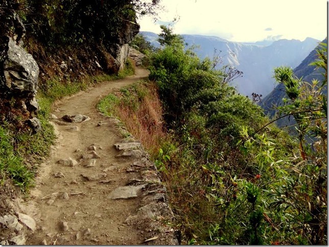 Machu_Picchu_DSC02267