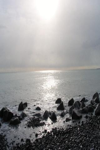 Ascw20057