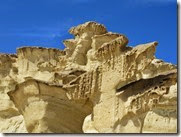 IMG_0155 IMG_0155