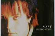 Vast