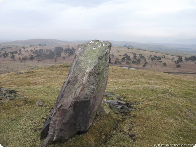 scout hill standing stone