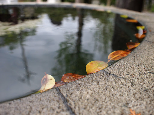 [写真]鹿島神社にて