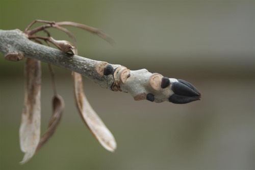 20110131 (2) (Large)