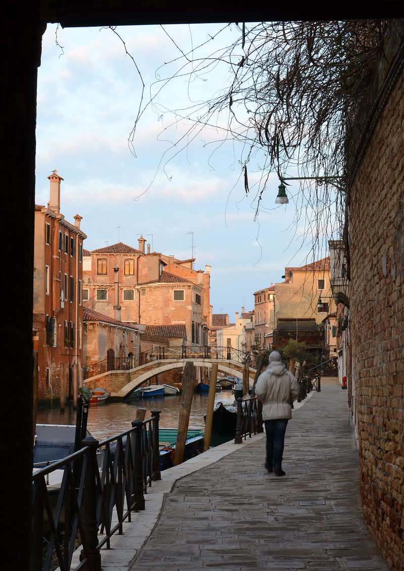 DSC_5101.jpg DSC 5101