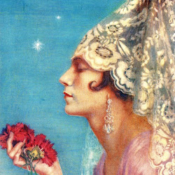 Apperley - (Jorge Apperley) Clavelina.jpg