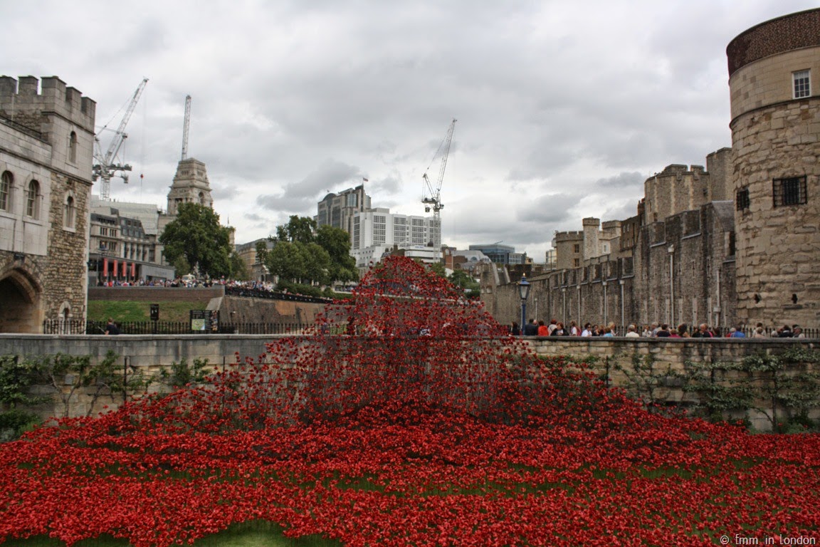 [Ceramic%2520poppies%2520cascading%2520into%2520the%2520Tower%2520of%2520London%255B3%255D.jpg]