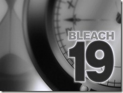 Bleach 19 Title