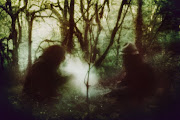 Wolves in the Throne Room