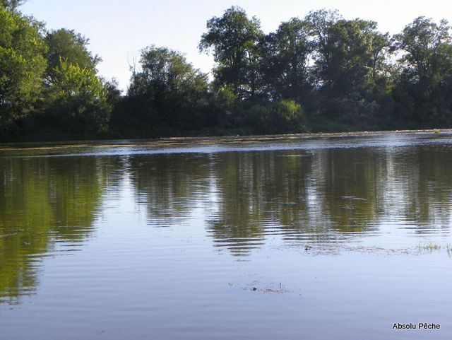 Loire rive droite en aval de Marclopt photo #1237