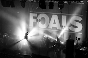 Foals