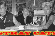 Stray Cats