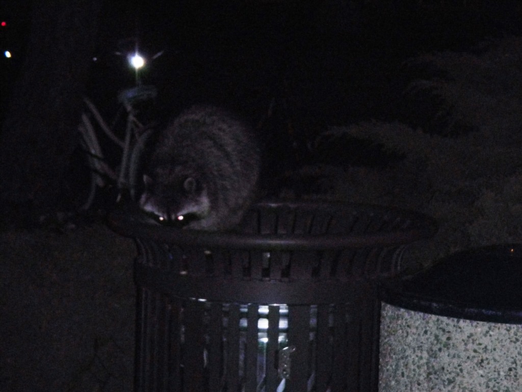 [DSCN3703%2520-%2520Kopie%255B4%255D.jpg]