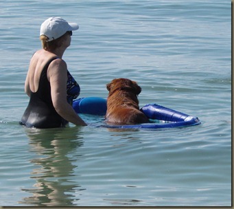 dog beach dog beach