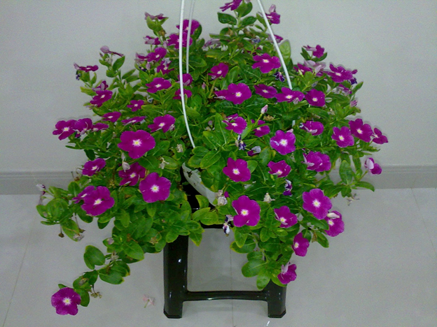 [image%255B3%255D.png]