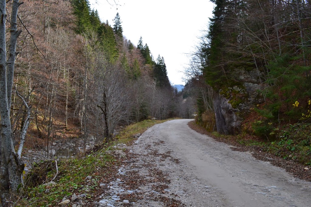 [DSC_03343.jpg]