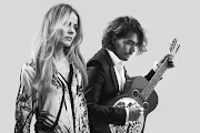 The Common Linnets