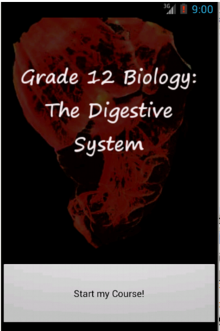 Grade 12 Biology: Respiratory