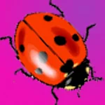 Cute Ladybugs Live Wallpaper Apk