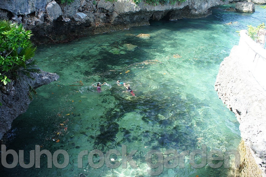 buho-rock-garden-camotes-DSC06429