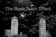 The Black Swan Effect