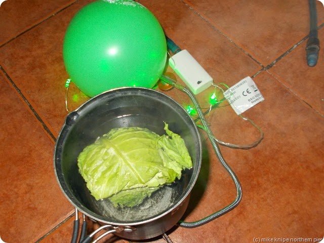 one of the recommended foodstuffs in process of cooking