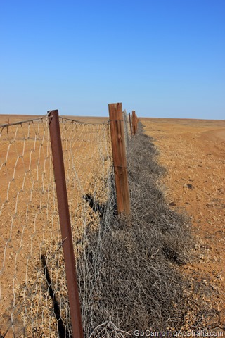 Dingo Fence 